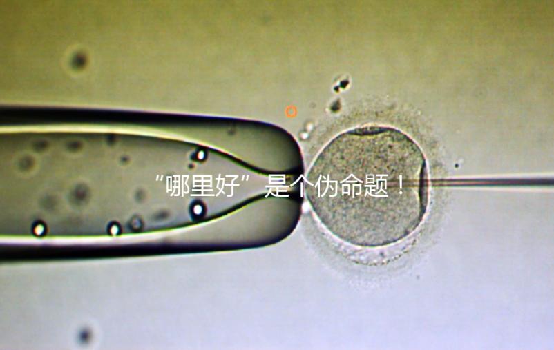 “哪里好”是個偽命題！上海市第十人民醫院做試管經驗分享