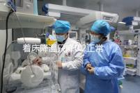 著床降溫只降0.2正常嗎?先來看看標準的體溫圖