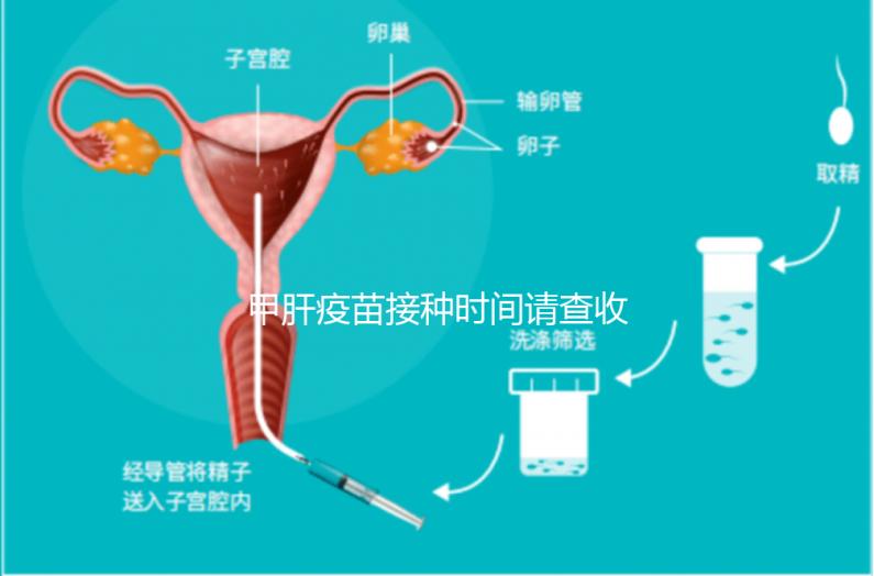 甲肝疫苗接種時(shí)間請(qǐng)查收，第二針推遲注射切勿間隔太長(zhǎng)