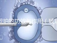 琥珀的功效與作用(琥珀的功效與作用與主治)