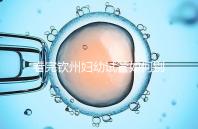 看完欽州婦幼試管如何別走，了解下助孕全過程費用明細再說