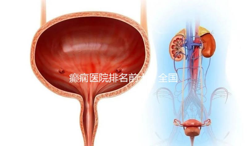 癲癇醫院排名前十(全國癲瘋病最好的醫院)