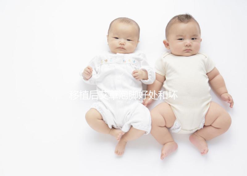 移植后艾草泡腳好處和壞處大PK，想提升試管成功率看過(guò)來(lái)