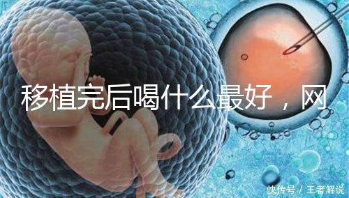 移植完后喝什么最好，網友推薦美味營養做法簡單大補湯