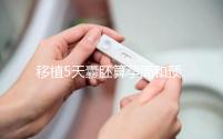 移植5天囊胚算孕周和預產期有訣竅,專家:用這2種方法