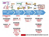 網上解密內蒙古生育登記要不要辦理，想造包頭怎么辦？