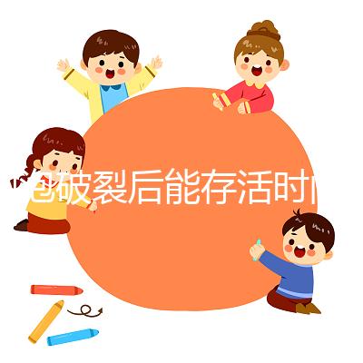 卵泡破裂后能存活時間是多久？別以為24小時就是極限