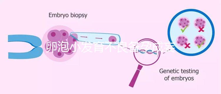 卵泡小發育不良備孕成妄想，閉鎖卵泡早檢查早治療