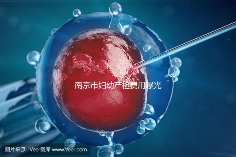 南京市婦幼產(chǎn)檢費用曝光,附2024詳細掛號時間和流程