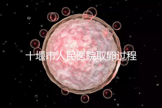 十堰市人民醫(yī)院取卵過(guò)程詳解,三種情況可全身麻醉