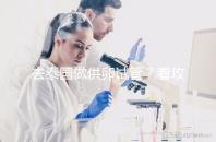 去泰國(guó)做供卵試管?看攻略提前了解具體流程和費(fèi)用