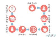 兒童牙膏十大國產產品公布,2024年哪些品牌看這個