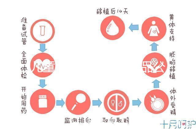兒童牙膏十大國(guó)產(chǎn)產(chǎn)品公布，2024年哪些品牌看這個(gè)