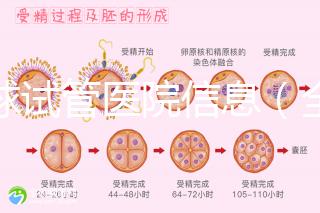 全球試管醫(yī)院信息(全球試管醫(yī)院排名)