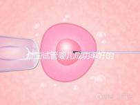 全國(guó)試管嬰兒成功率好的醫(yī)院排名