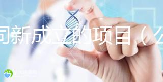 公司新成立的項目(公司新成立的項目歸屬投資人嗎)