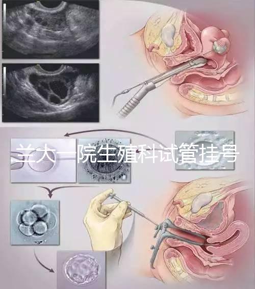 蘭大一院生殖科試管掛號多少錢別還不造，預約攻略來了