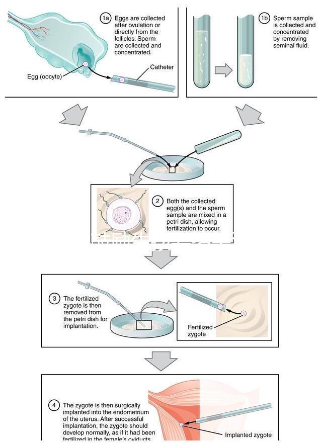 發(fā)錢鼓勵生孩要多關(guān)注第一孩！別被二胎、三胎沖昏頭腦