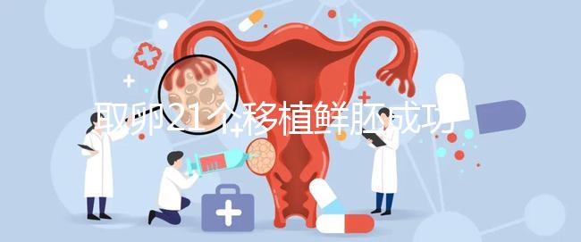 取卵21個移植鮮胚成功率真不低，前提：等卵巢恢復后再手術
