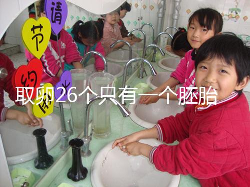 取卵26個(gè)只有一個(gè)胚胎成功率不低，次月移植凍胚易著床