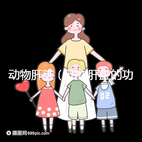 動(dòng)物肝臟(動(dòng)物肝臟的功效與作用)