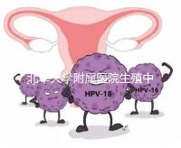 北華大學附屬醫院生殖中心試管怎么樣？2024年助孕成功率參考