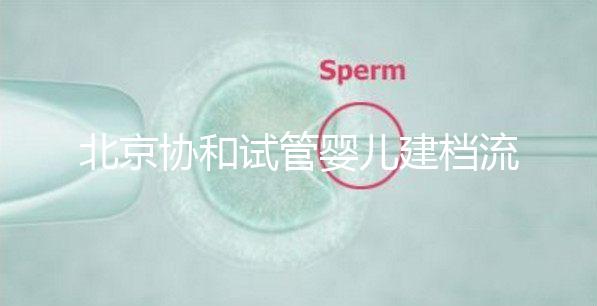 北京協(xié)和試管嬰兒建檔流程介紹，到院后掛號(hào)必不可少