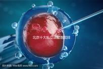 北京十大私立試管醫(yī)院排名:費用、成功率全面解析