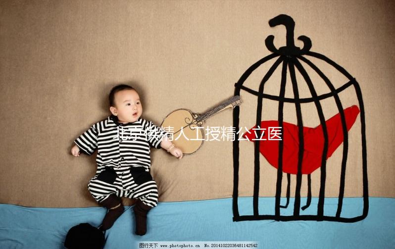 北京供精人工授精公立醫(yī)院一覽，內含排名榜單快收藏