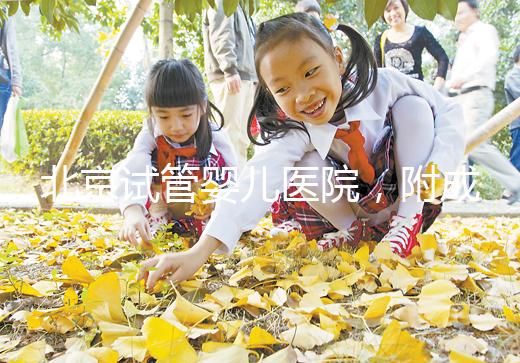 北京試管嬰兒醫院，附成功率、費用