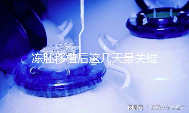 凍胚移植后這幾天最關鍵！一文揭秘重要原因