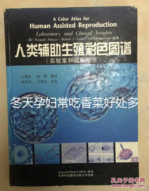 冬天孕婦常吃香菜好處多，搓成丸子味道更佳