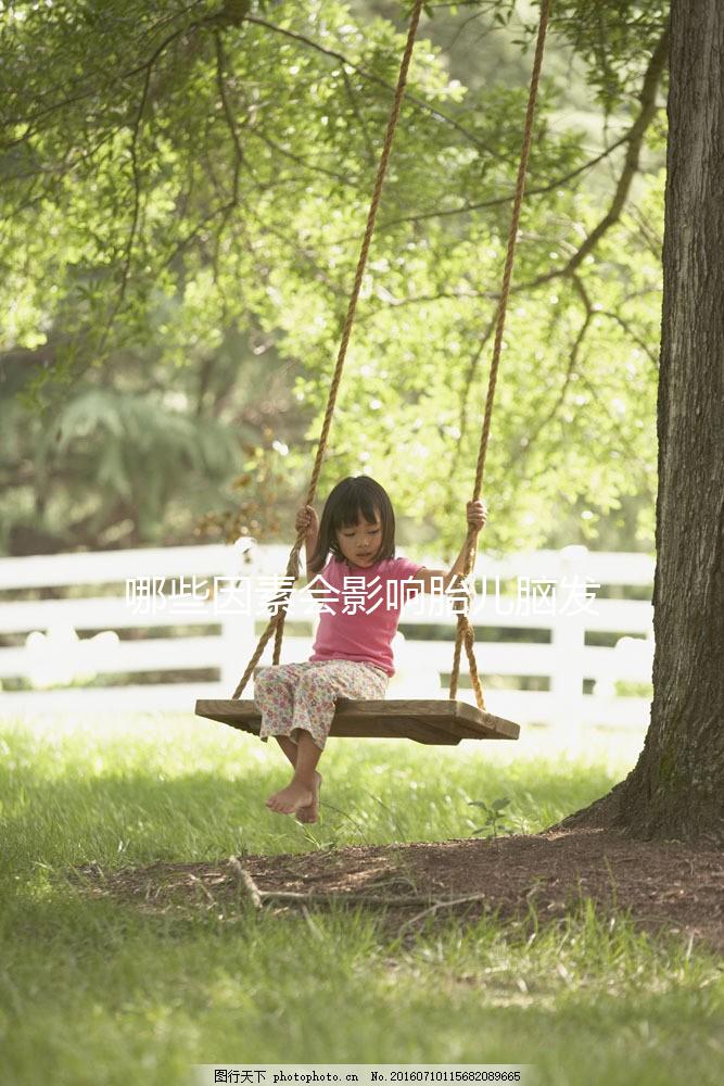 哪些因素會影響胎兒腦發育呢?聽聽孫麗洲教授怎么說