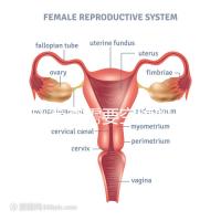 唐氏篩查需要空腹嗎,無錫醫院單項費用最低一百八十五