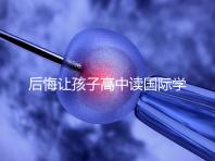 后悔讓孩子高中讀國際學(xué)校4大理由，行動前學(xué)籍咋辦要弄清