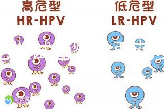 合肥做試管嬰兒要花多少錢？進(jìn)周期前這些注意事項都來看看