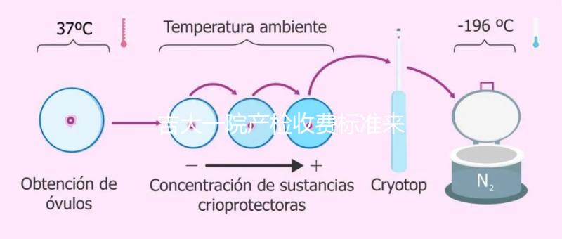 吉大一院產(chǎn)檢收費標準來了！免費項目和報銷比例一文說明
