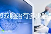 同卵雙胞胎有多少胎盤？1個or2個當場講給你聽