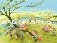 國(guó)內(nèi)試管嬰兒費(fèi)用（國(guó)內(nèi)試管嬰兒費(fèi)用多少）