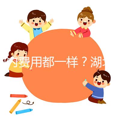 國(guó)內(nèi)費(fèi)用都一樣?湖北洪湖做一次試管嬰兒花費(fèi)明細(xì)看這里