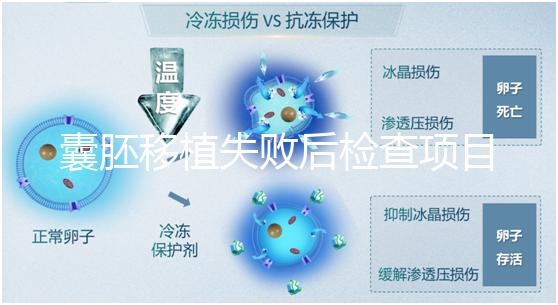 囊胚移植失敗后檢查項目，查免疫、內分泌必不可少