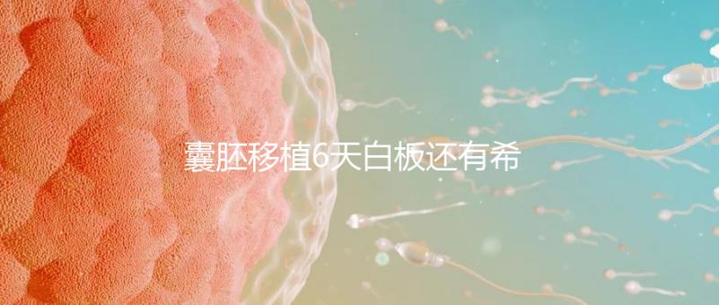 囊胚移植6天白板還有希望嗎？別沮喪該來(lái)的總是會(huì)來(lái)的