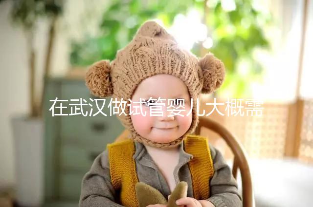 在武漢做試管嬰兒大概需要多少錢(qián)?武漢同濟(jì)醫(yī)院做試管可以選性別嗎?