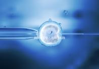 供卵試管嬰兒選擇好醫(yī)院是關鍵,泰國好的生殖中心有這些