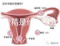 人工授精是什么?3分鐘讀完這篇文章，解答你所有疑問