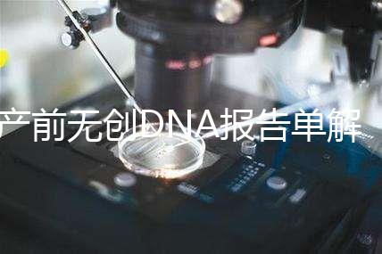 產(chǎn)前無創(chuàng)DNA報告單解讀:三項結果竟然暗示寶寶性別