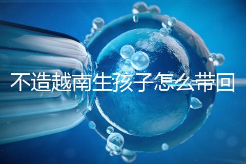 不造越南生孩子怎么帶回國(guó)戶口？流程和資料都有