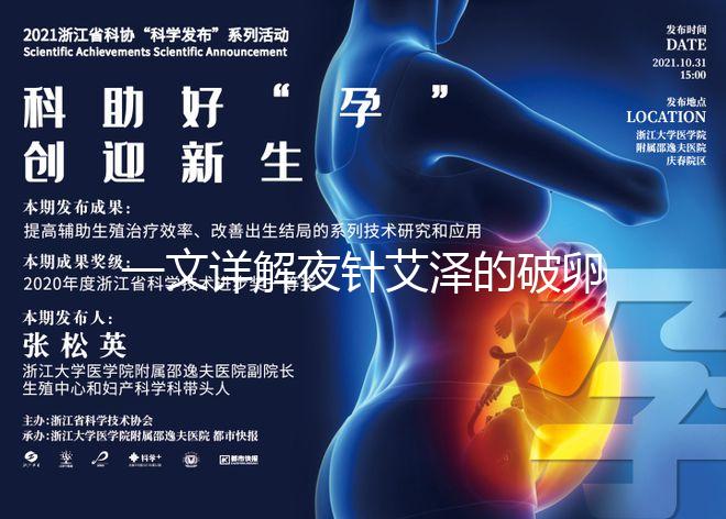 一文詳解夜針艾澤的破卵成功率，60s弄清跟絨促誰更高