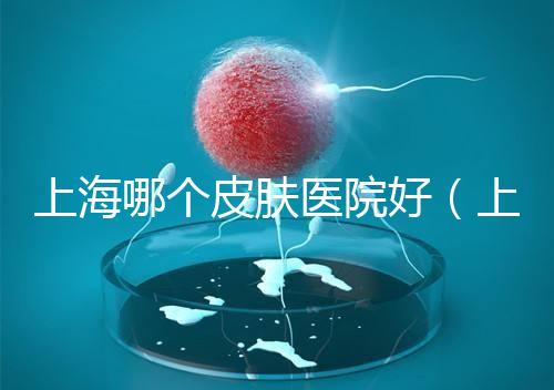 上海哪個皮膚醫(yī)院好(上海中醫(yī)皮膚科哪家好)