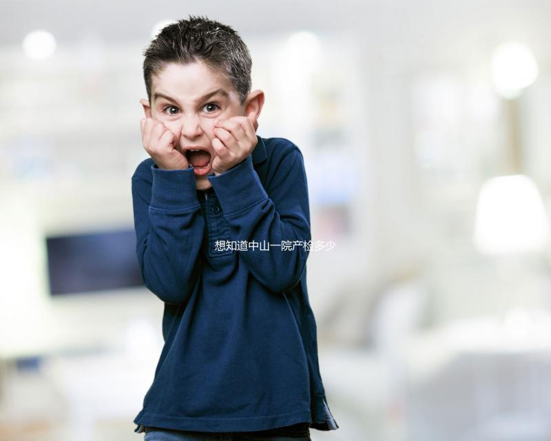 想知道中山一院產(chǎn)檢多少錢，怎么報(bào)銷，怎么辦？